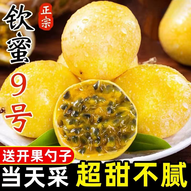 【25个装】黄金百香果纯甜无酸应季水果50-60g配开果器  坏果包赔L