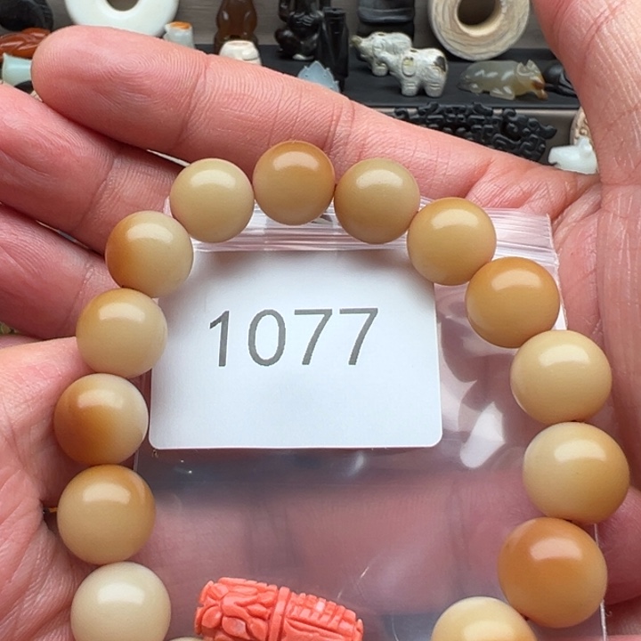 天***哥菩提根/象牙果手串