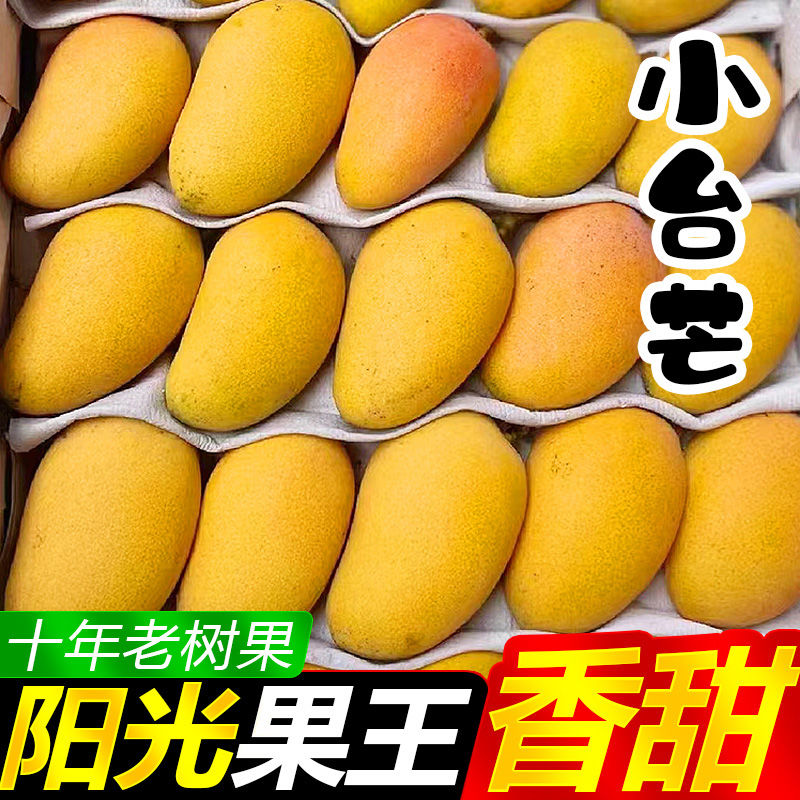 台农芒新鲜现摘无筋丝软糯香甜开箱即食热带水果与助农产品维生素