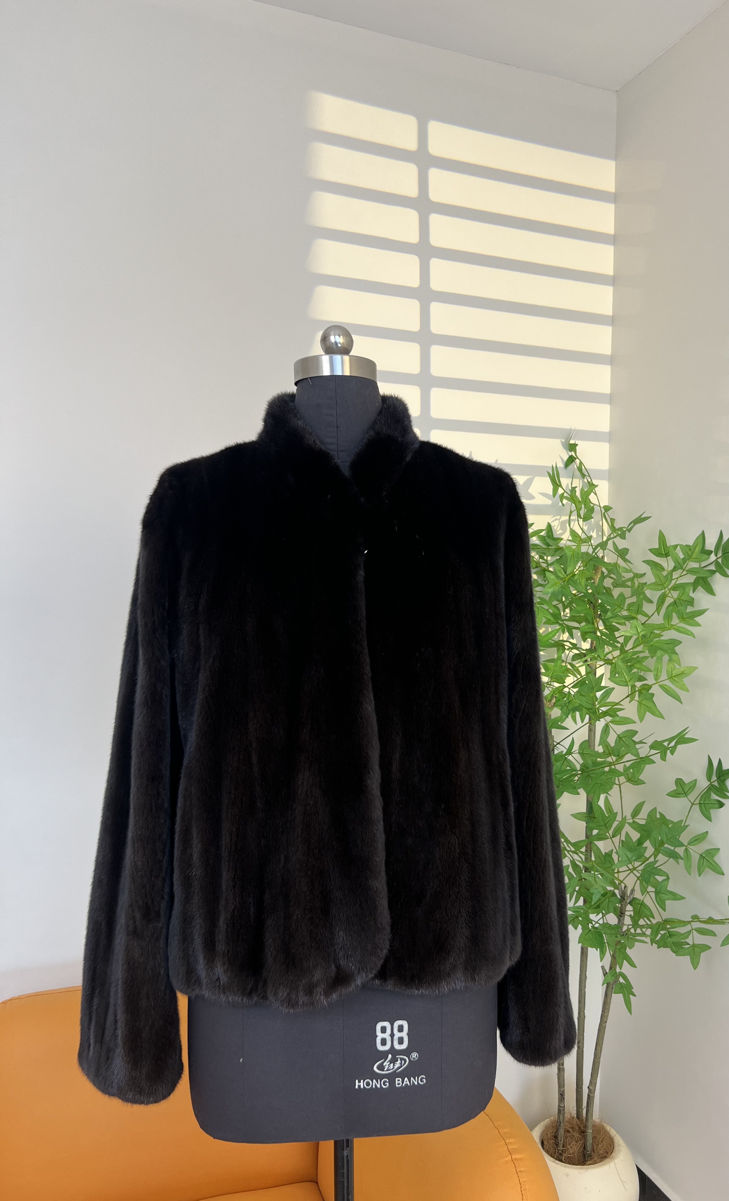  2025新款进口水貂整貂本黑立领55cm短款女装貂皮外套