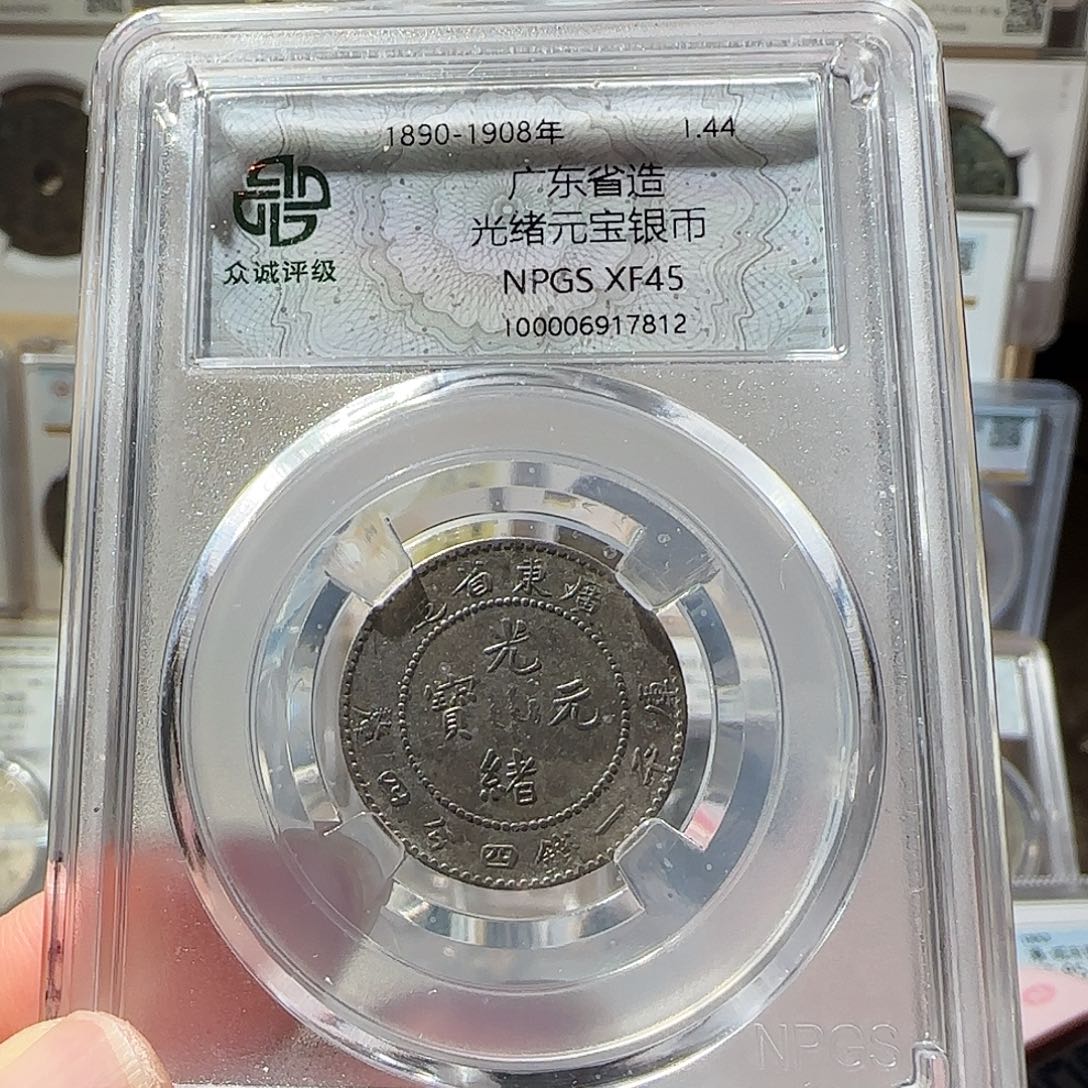 银志*广东光绪龙7812，飞姐