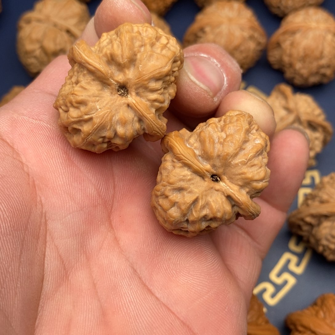 文玩核桃把件31古蝉