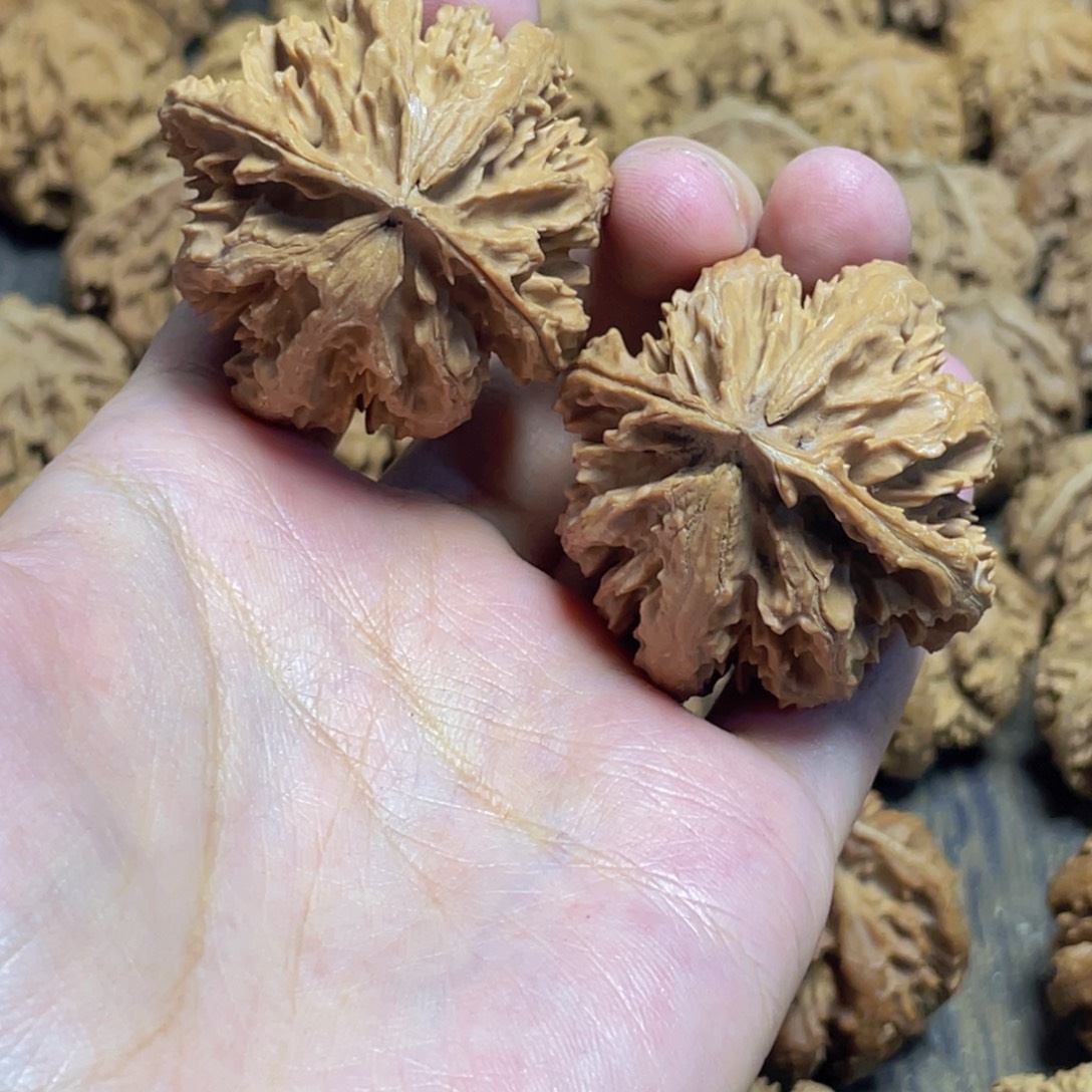 小***灰吊坠桃核3 秦岭灯笼野生小众