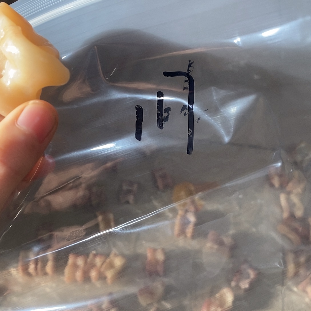 双***林非金属鹿骨鹿骨鹿骨