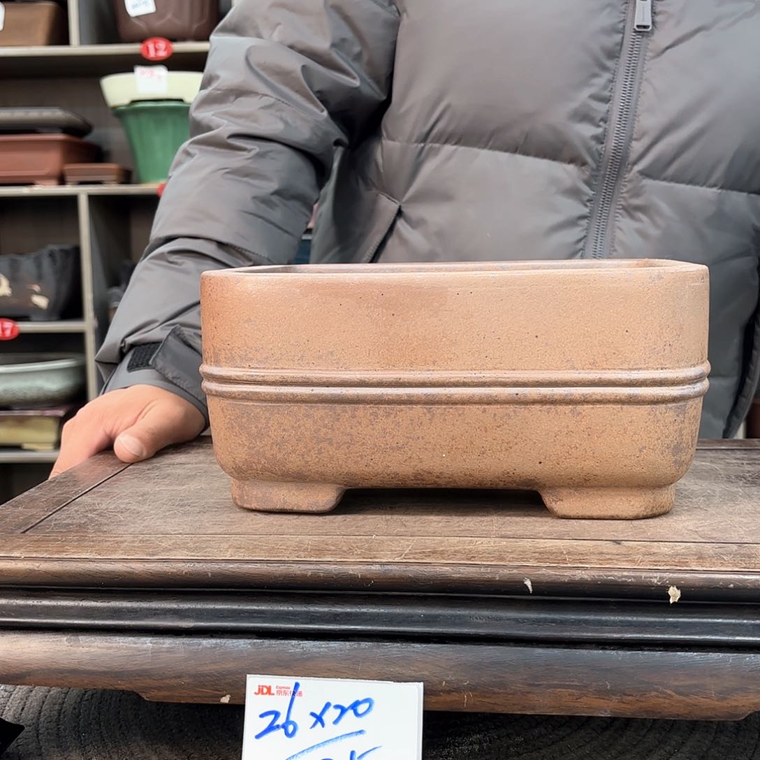 紫砂花盆紫砂的花开得太