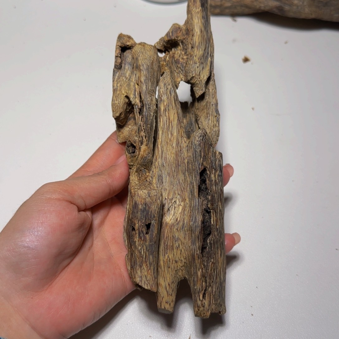 沉香摆件无**学沉香奇楠红棋80克老料