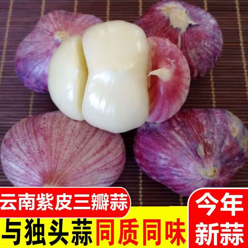 【文海蒜业】云南紫皮大蒜头两瓣三瓣蒜两丫三丫蒜元宝蒜新鲜大蒜头