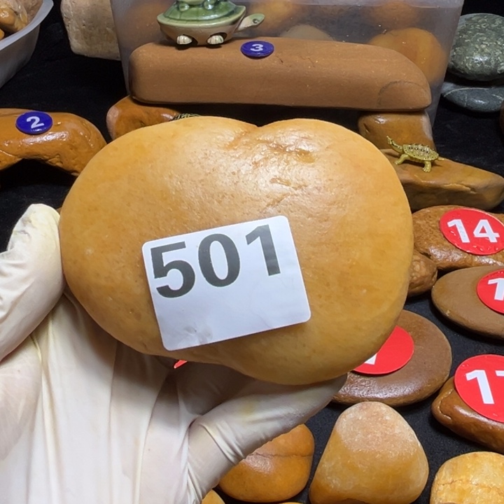 香榧木木头人和他在纽约大学