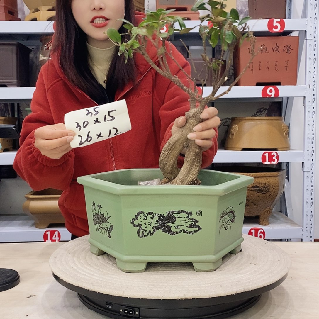 紫砂花盆紫砂花盆