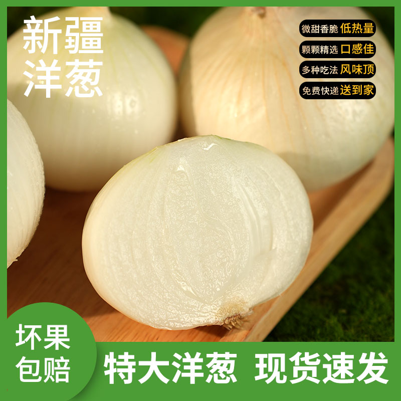 新疆白美人洋葱白玉洋葱当季上市多汁有辣可去腥调馅的新鲜蔬菜