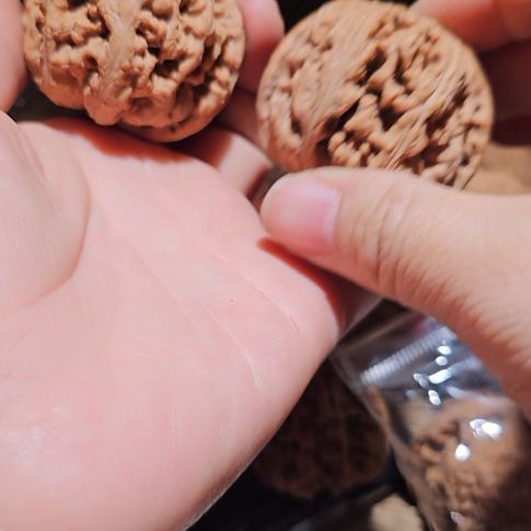 龙***文玩核桃吊坠46粗筋