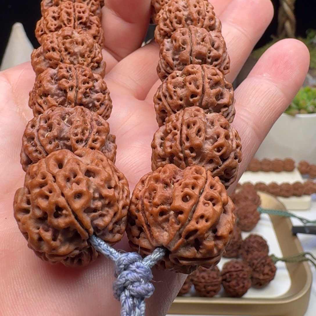 金刚菩提手串粗筋双龙