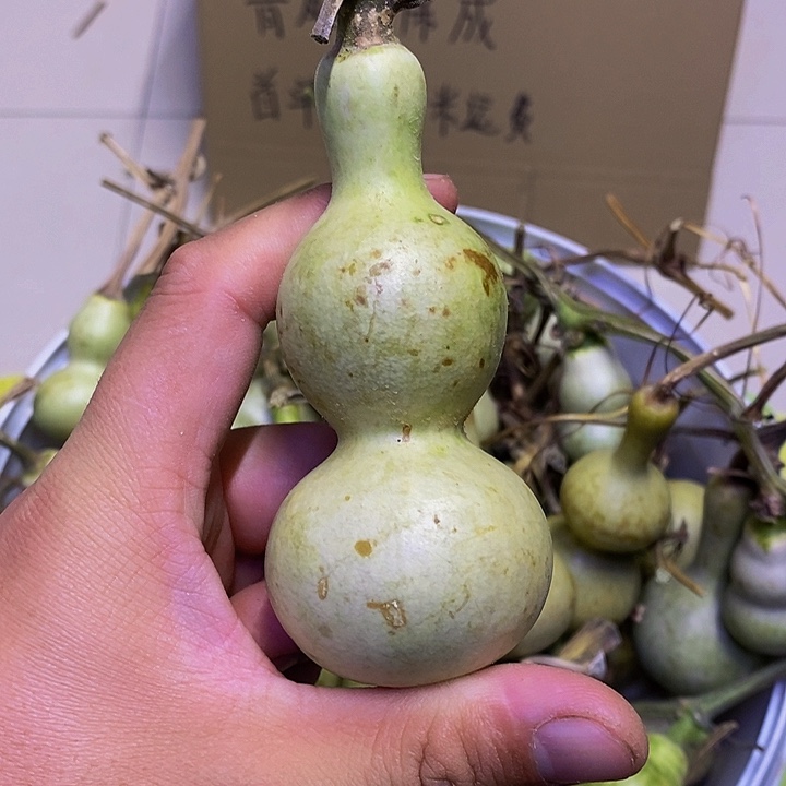 凡***3长嘴哈哈哈哈哈哈哈哈哈哈好