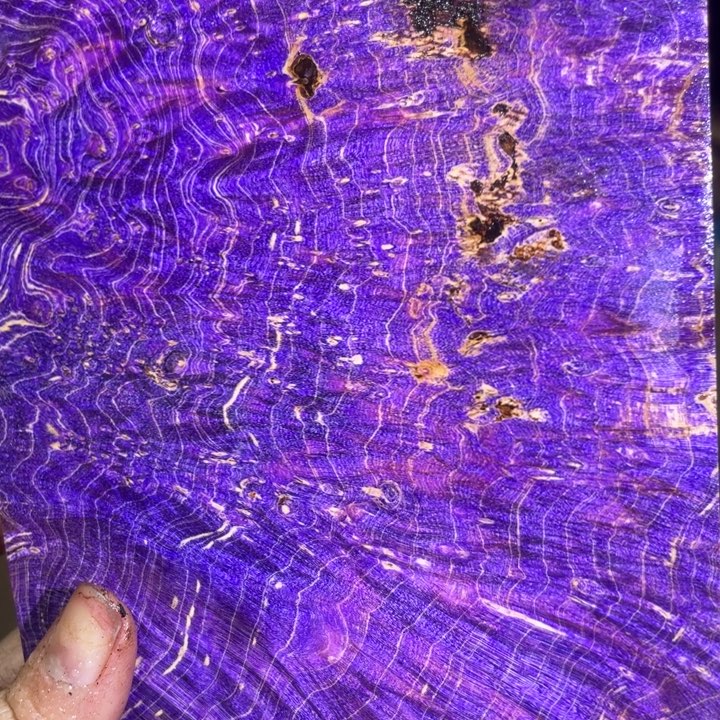 厉***！8888888888888588