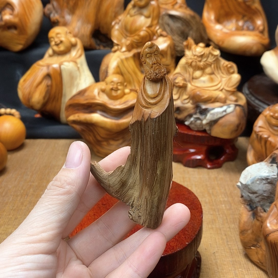 柏木（崖柏）一物一图