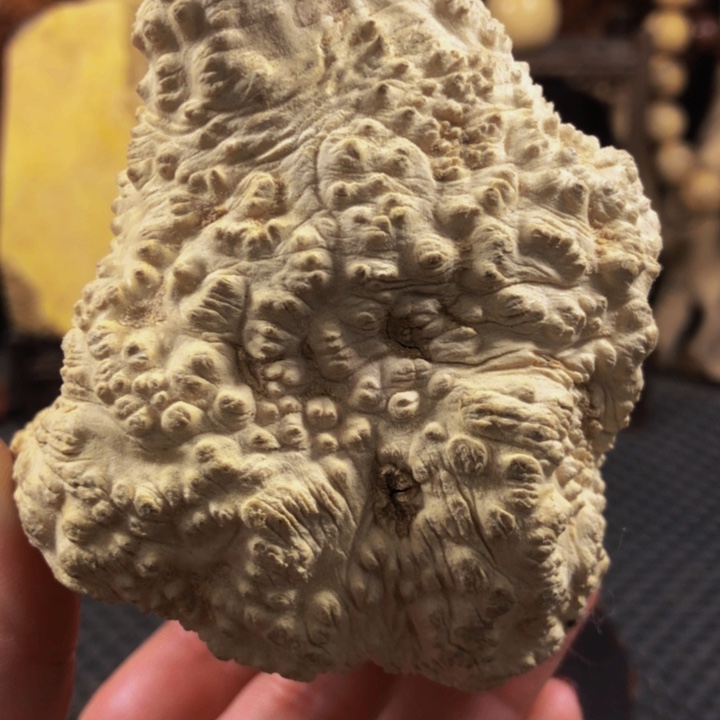 精**作木料木料木料木料