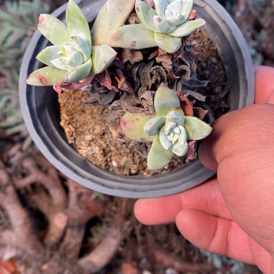 2877哈哈哈哈哈哈哈哈哈