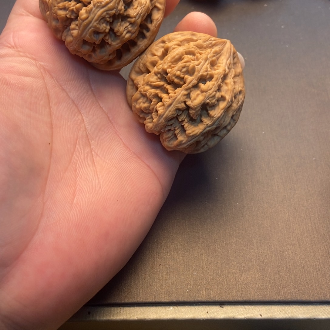 找***头大叶紫檀（黑酸枝木类）粗筋