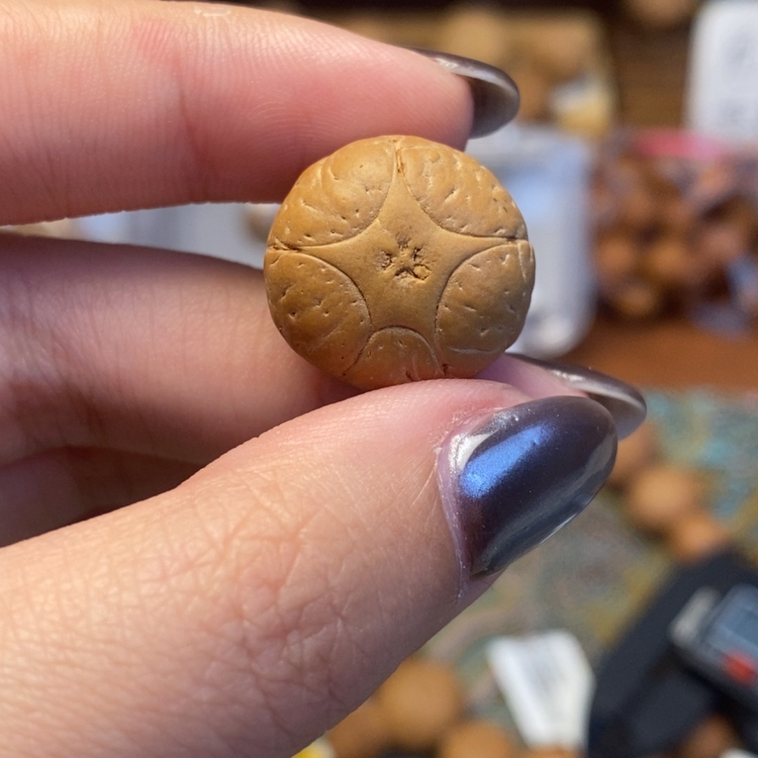 吊坠凤眼菩提五星