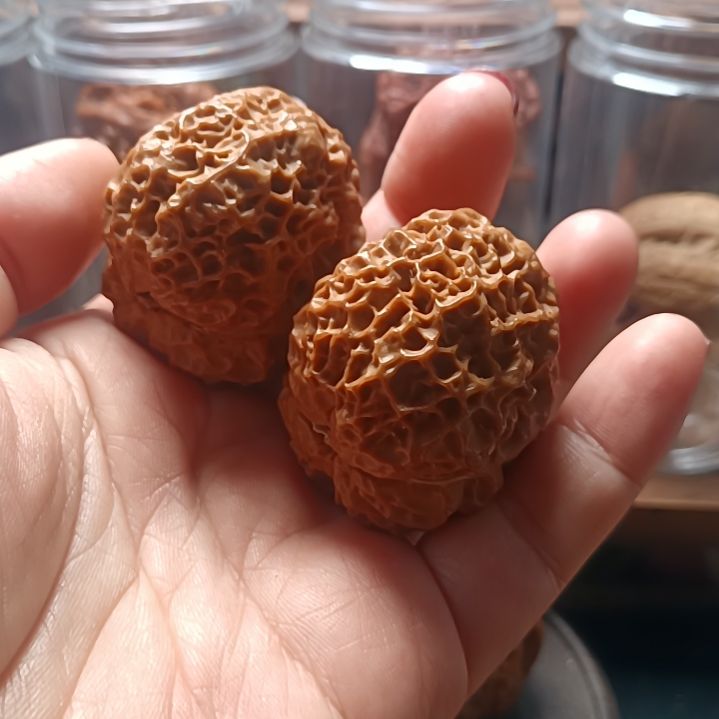 文玩核桃把件666666666666666666