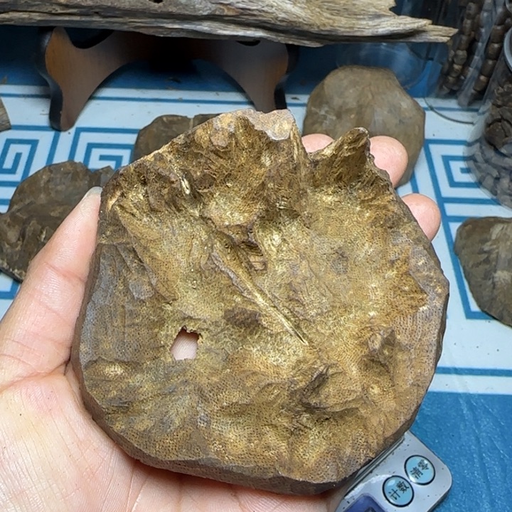 木质母树绿奇陆河包料37克