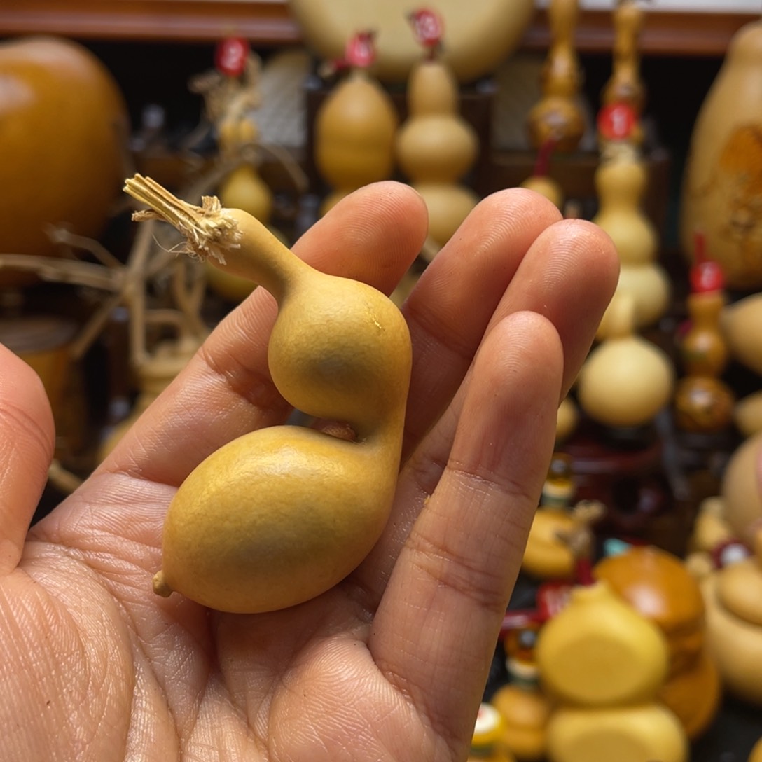 我***口葫芦头的做法是用来做菜吃