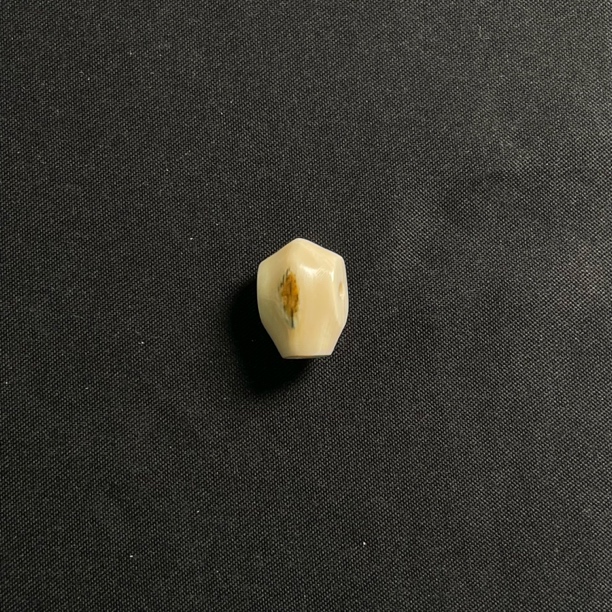 PA97虎眼鲨鱼背三通 只做天然猛犸牙