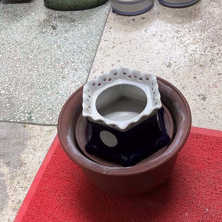 红陶2**8。。。。。。。。。。。