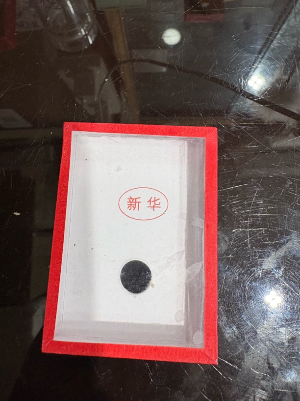 新华大黄蛉鸣虫爬宠