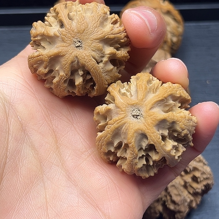 橡***木质类秦岭突突突突突