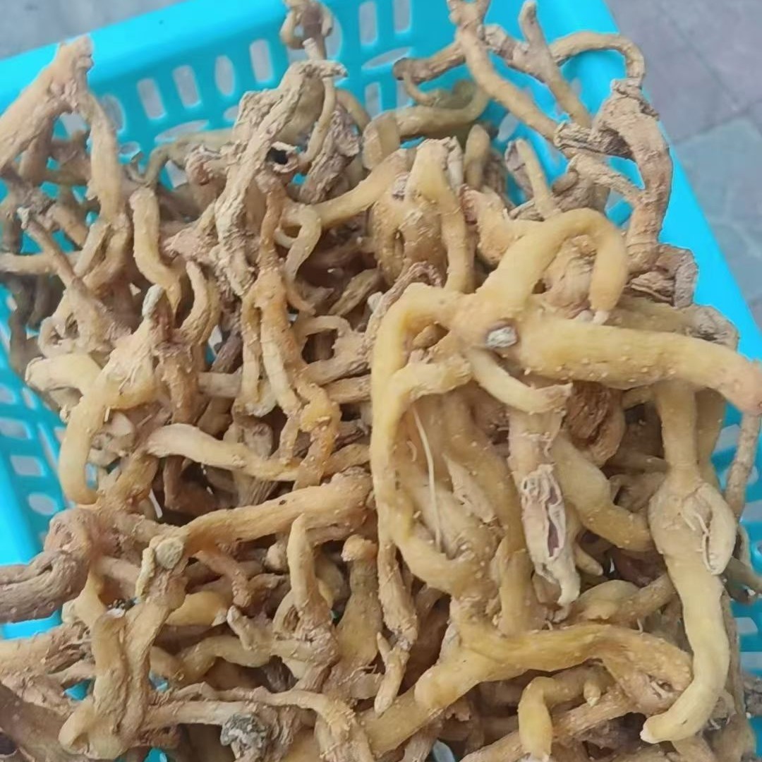 野生玉竹优质山货