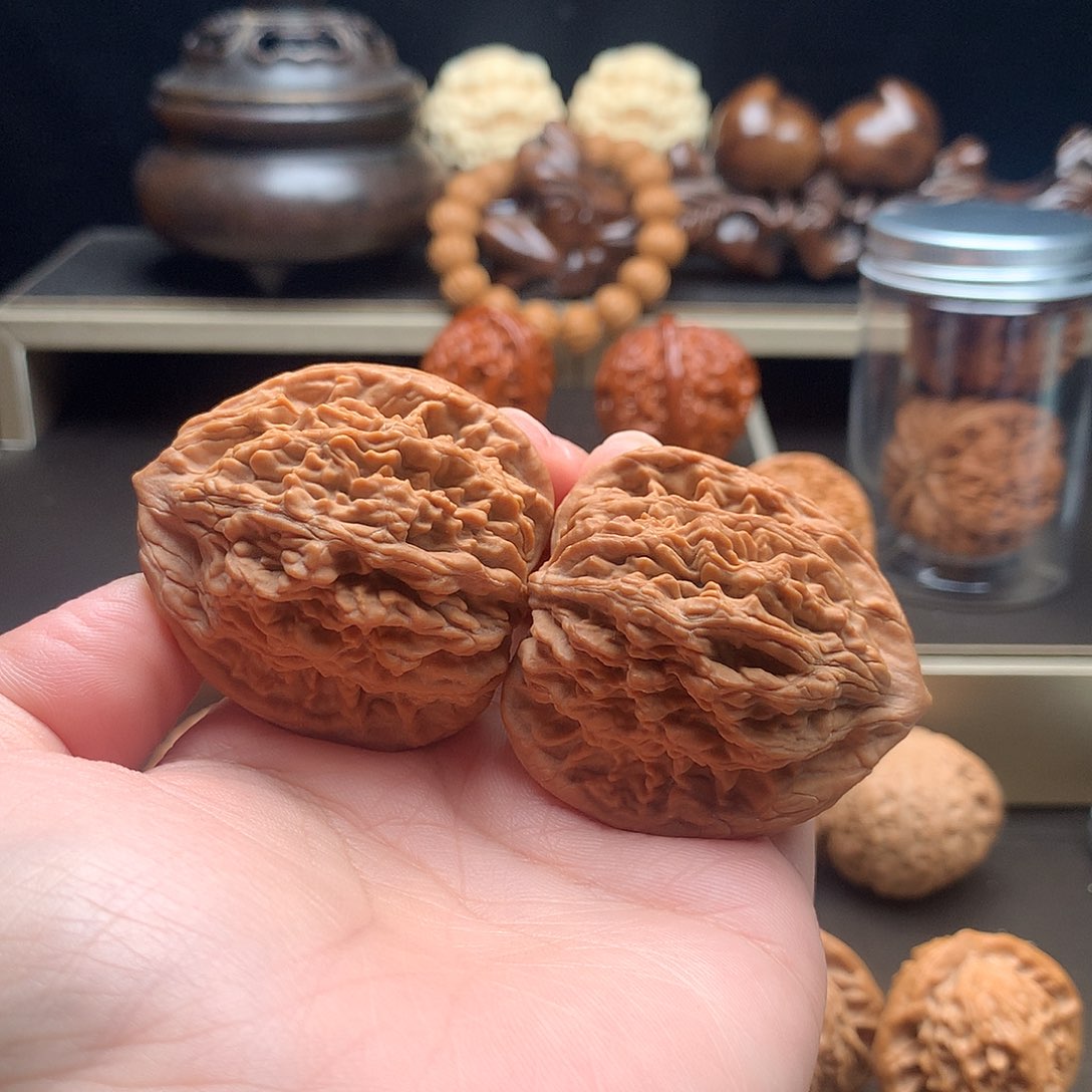 木质类麦穗虎头核