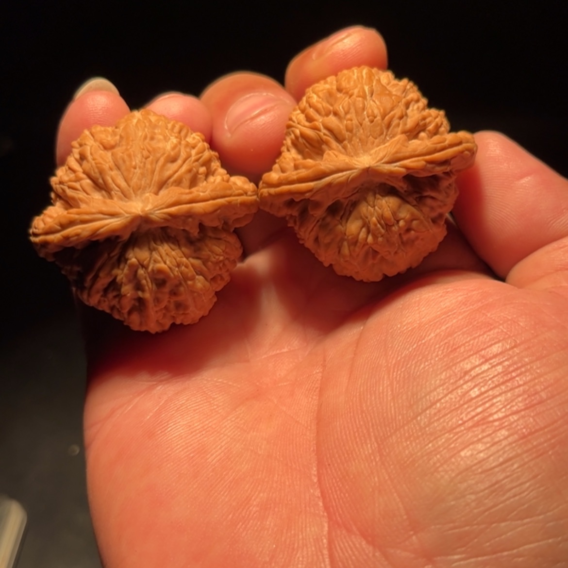 【闪购商品】是**呀文玩核桃木制手把件