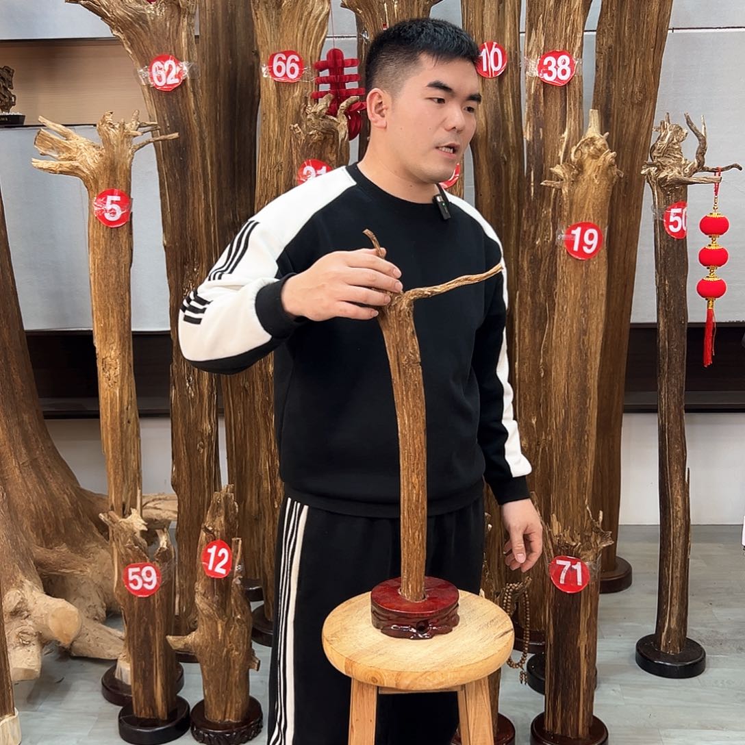 沉香摆件海南沉香摆件