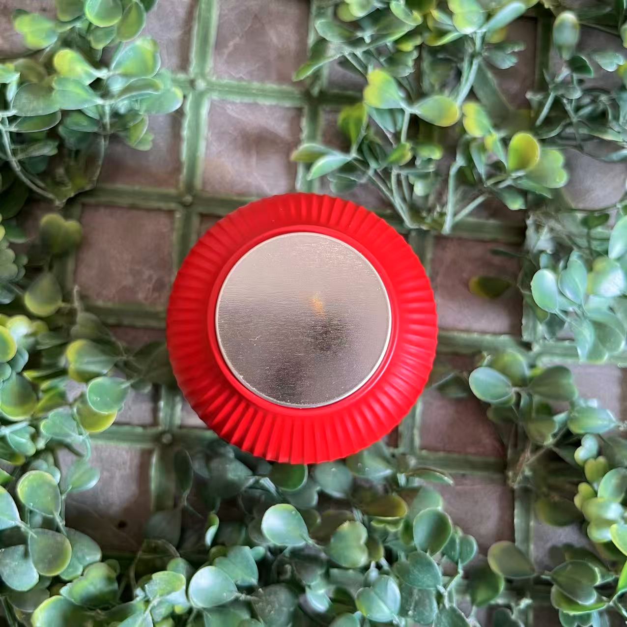 雨腾古茶   W双"吴氏W来F向 全J稳"核J精H 30g/罐（11月22) 