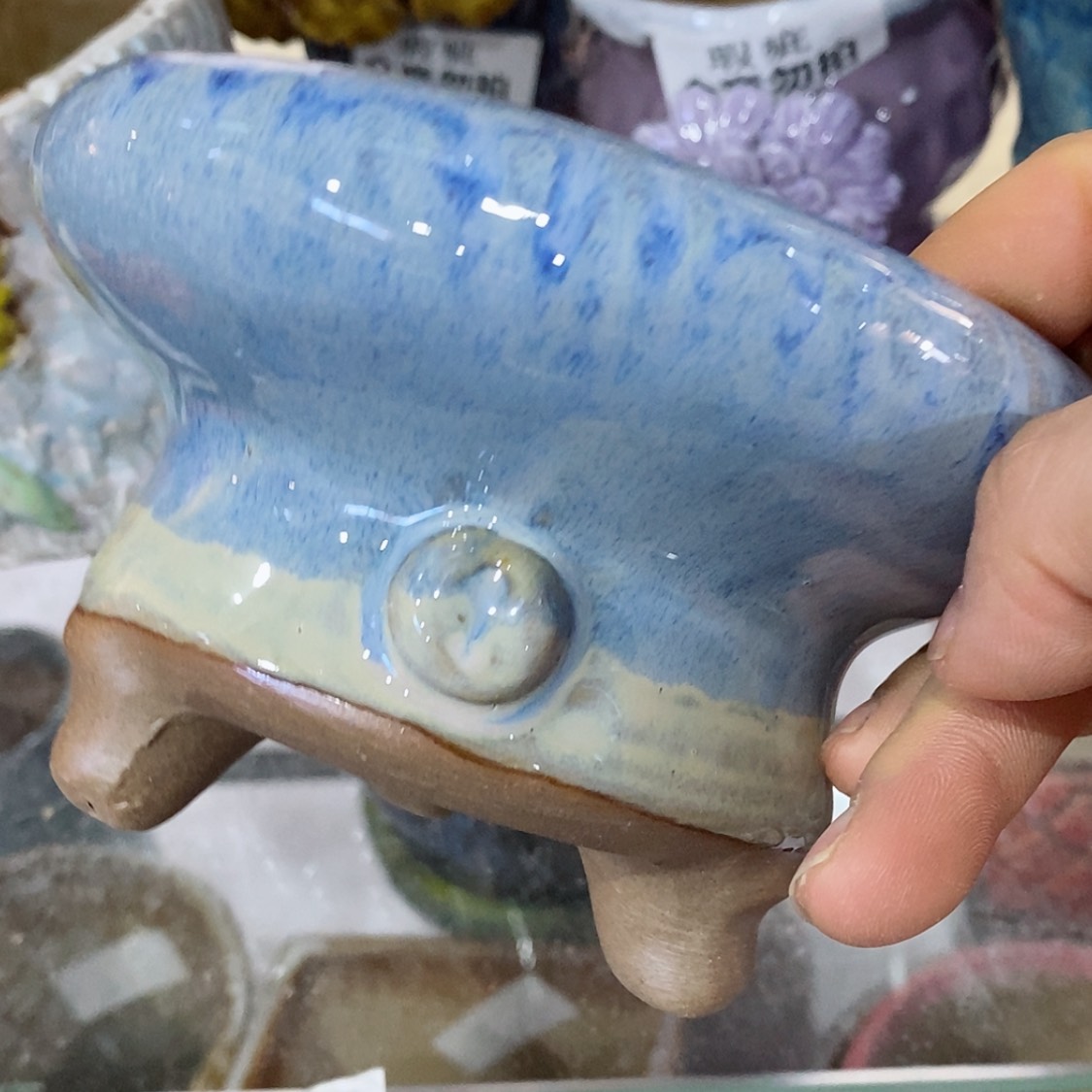 【闪购商品】红陶福利