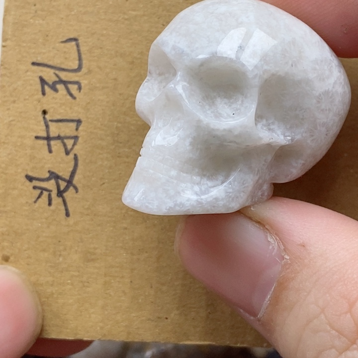 颈饰未镶嵌硅化珊瑚（珊瑚玉）