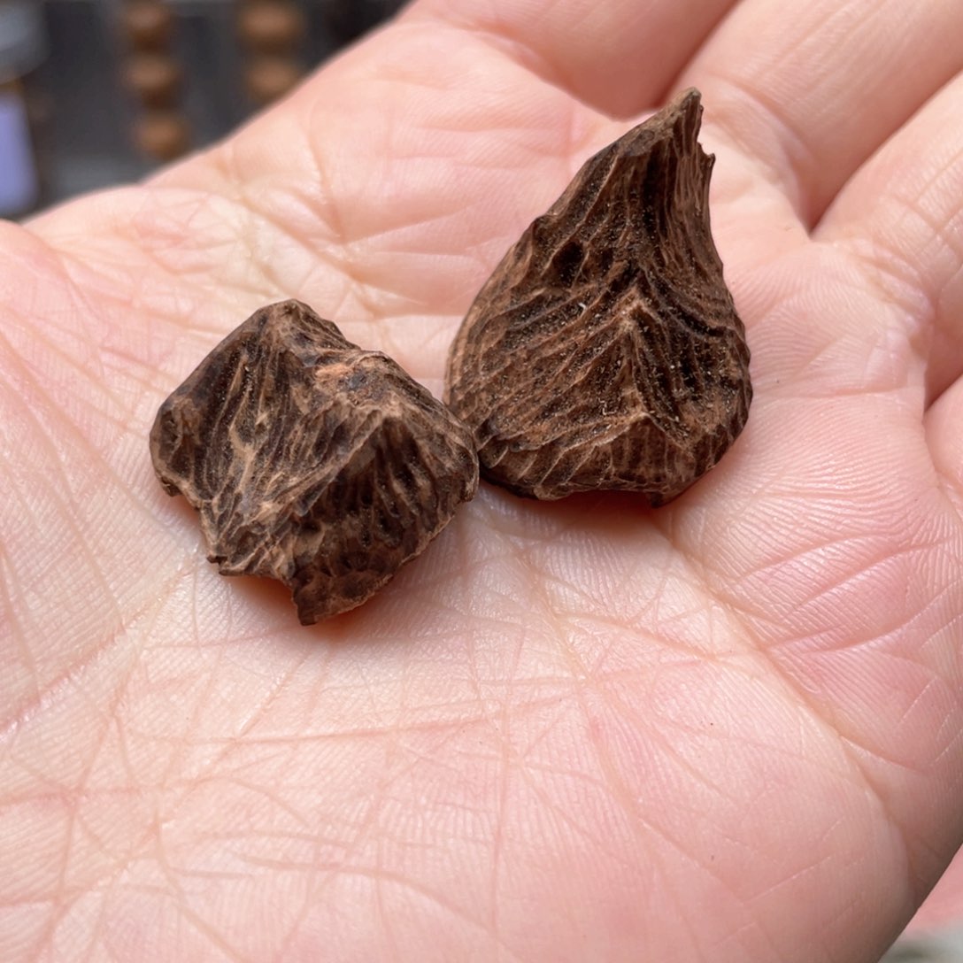 【闪购商品】沉香沉香碎屑香港老料包头九分