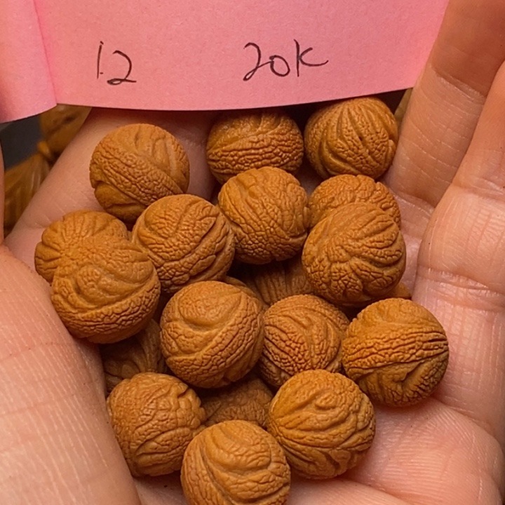 桃核吊坠秦岭龙纹桃核12