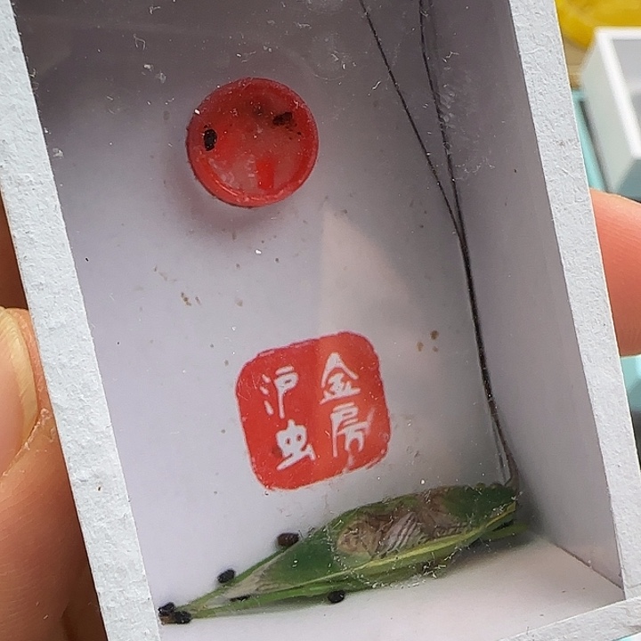 鸣虫虫具一条包邮