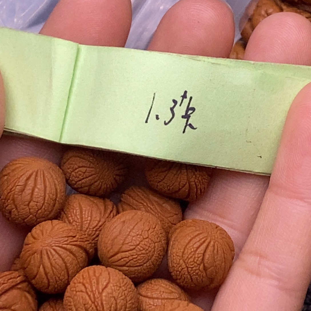 雩*秦岭山脉龙纹桃核 28