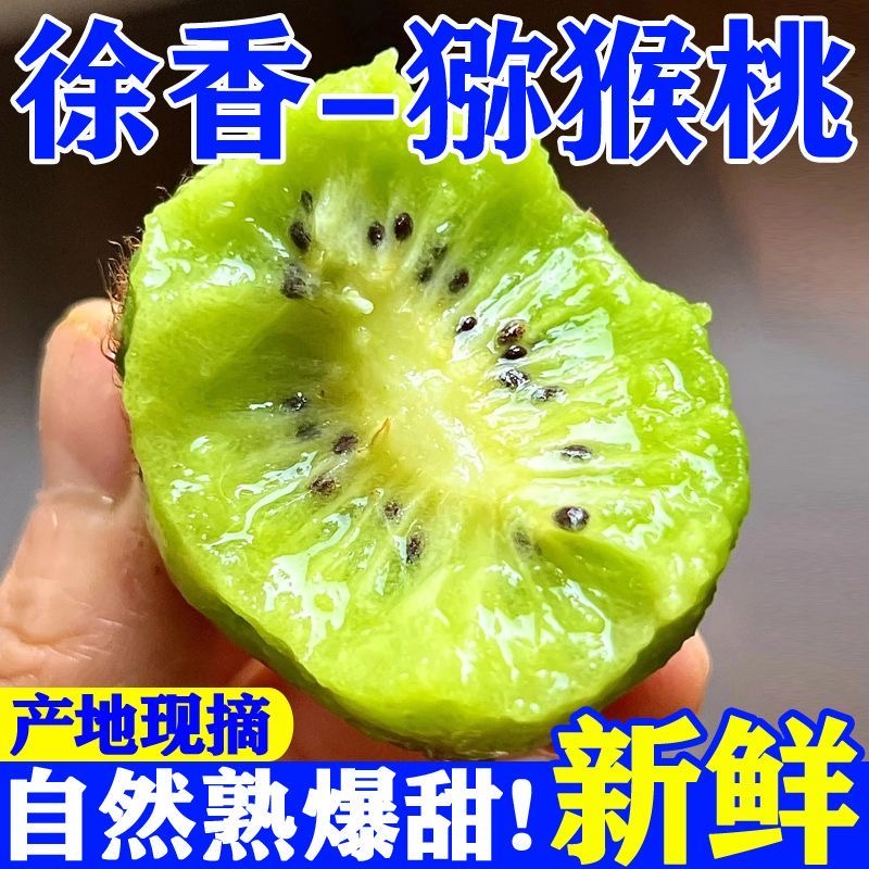 【放软食用】正宗徐香猕猴桃绿心60-80g坏果包赔P