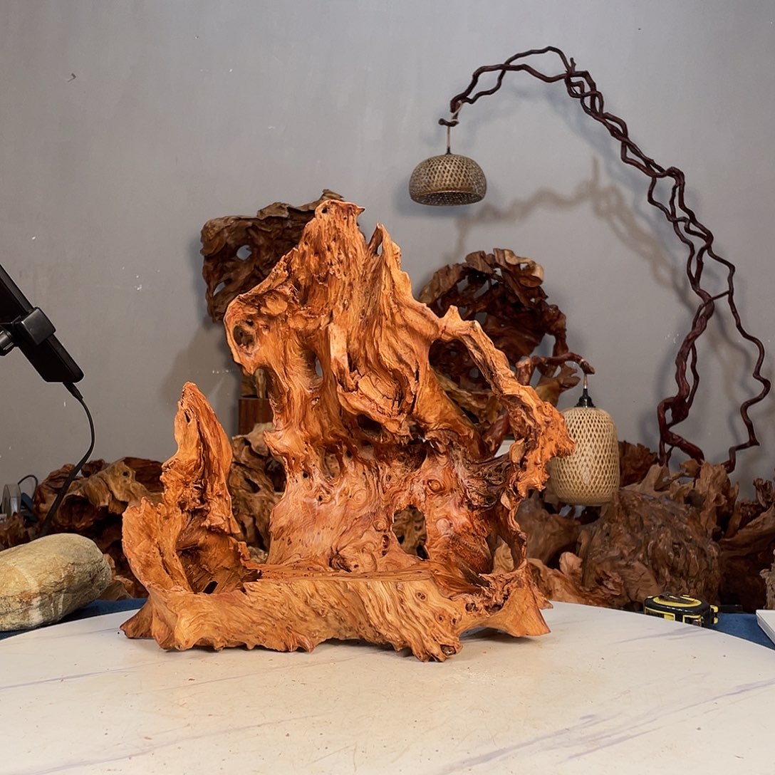 香榧木韦*仙1344667788889