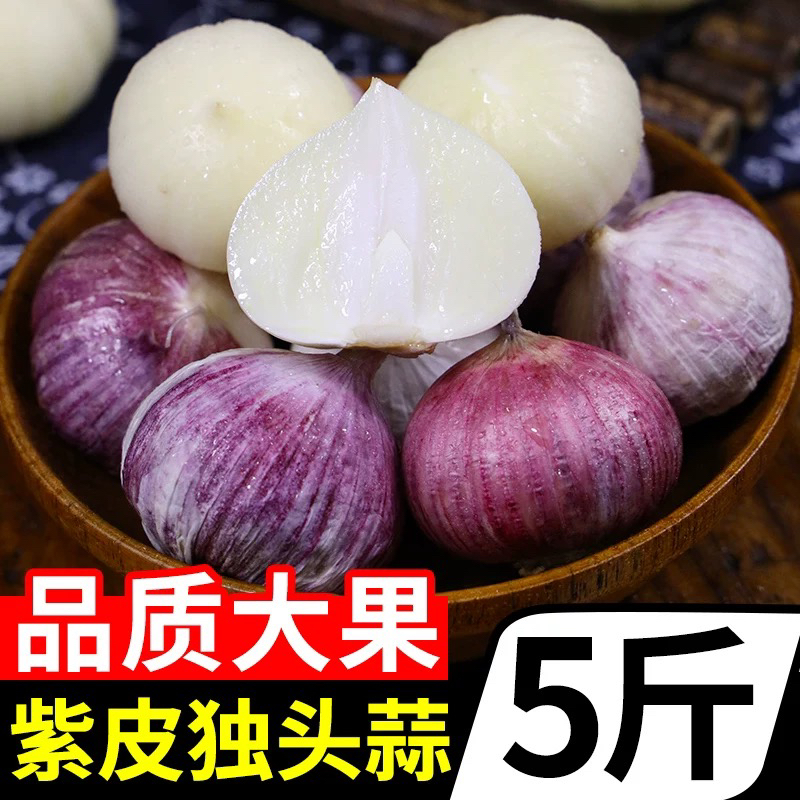2025年云南独头蒜农家新鲜香辣红皮农产品种子独正宗云南紫皮大蒜
