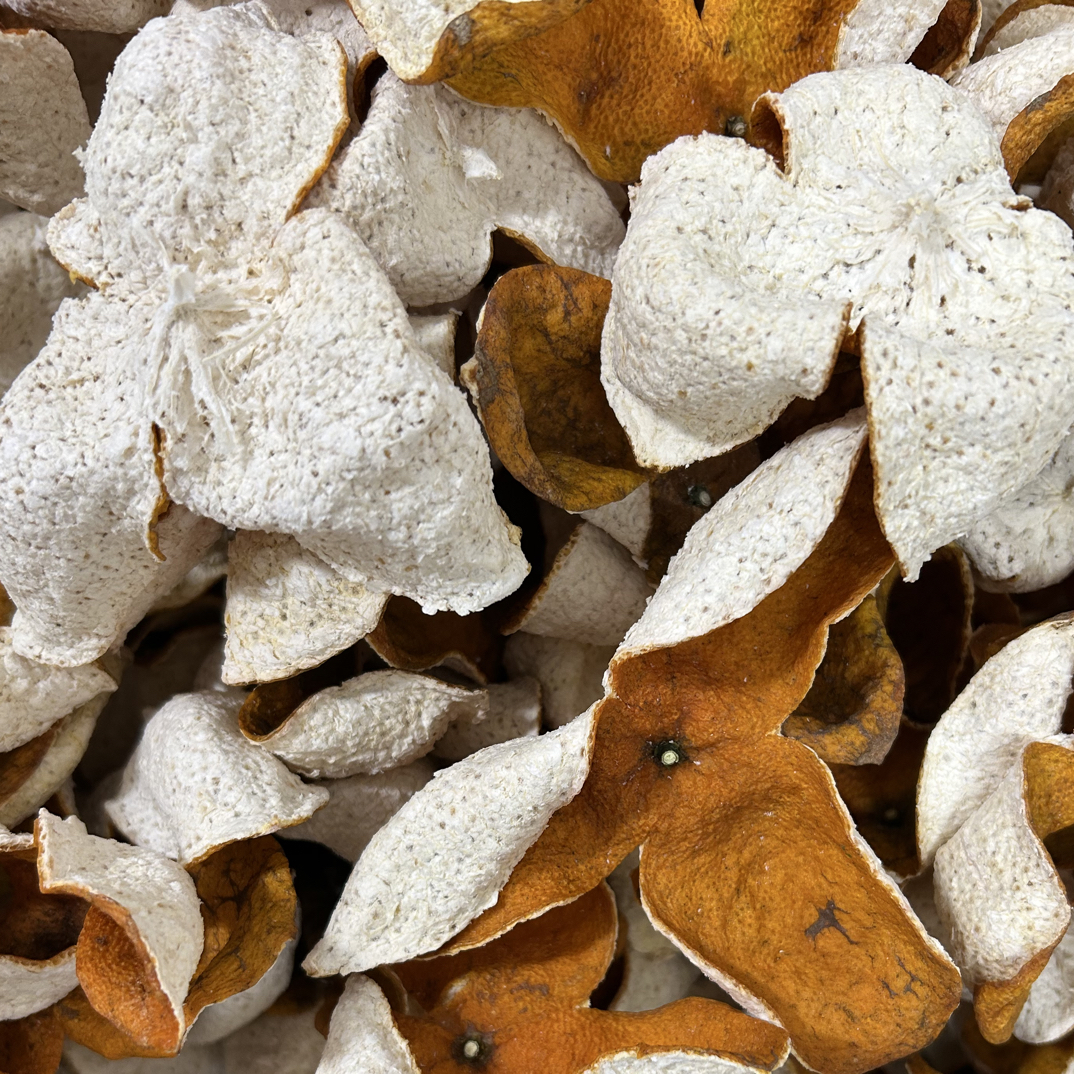 2025年生晒茶枝柑陈皮原料【批发】