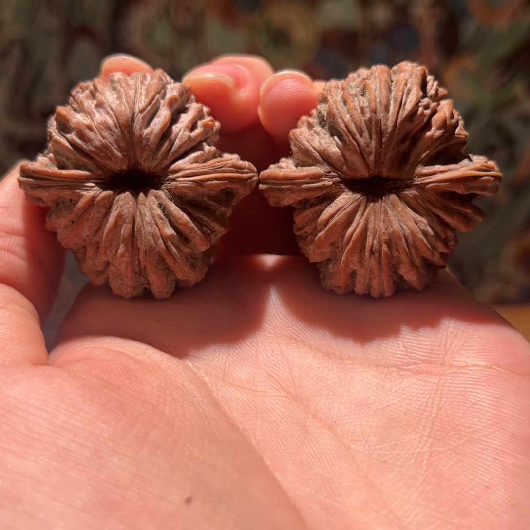 星***辰木质40四座楼狮子头