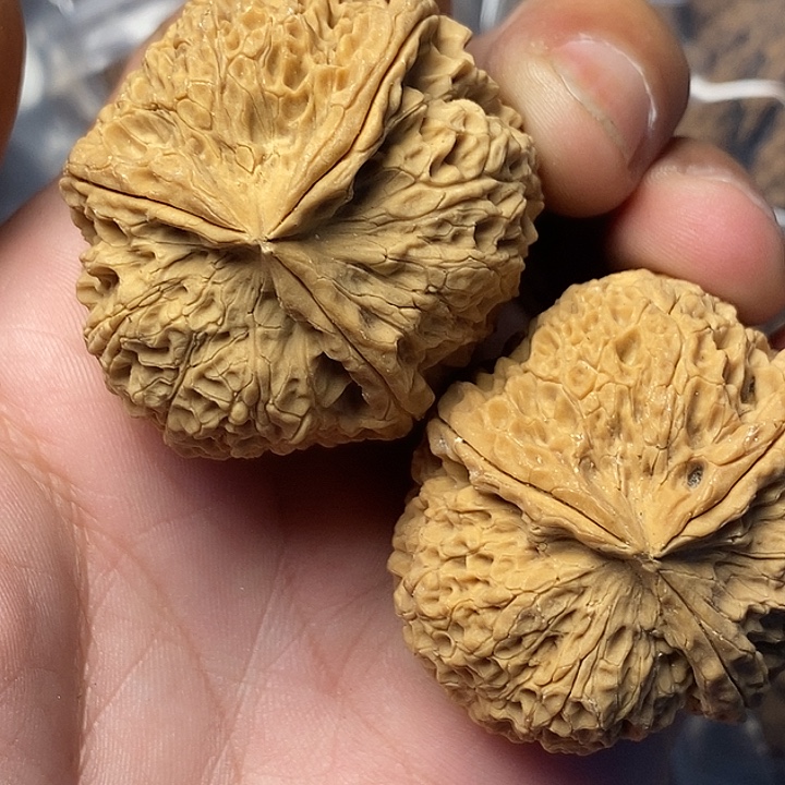 把件文玩核桃云南铁核桃51号43mm