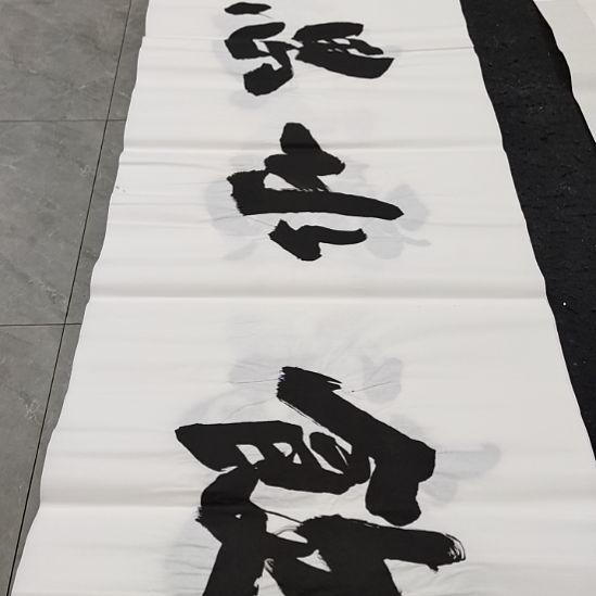 翰墨申国栋老师作品一副