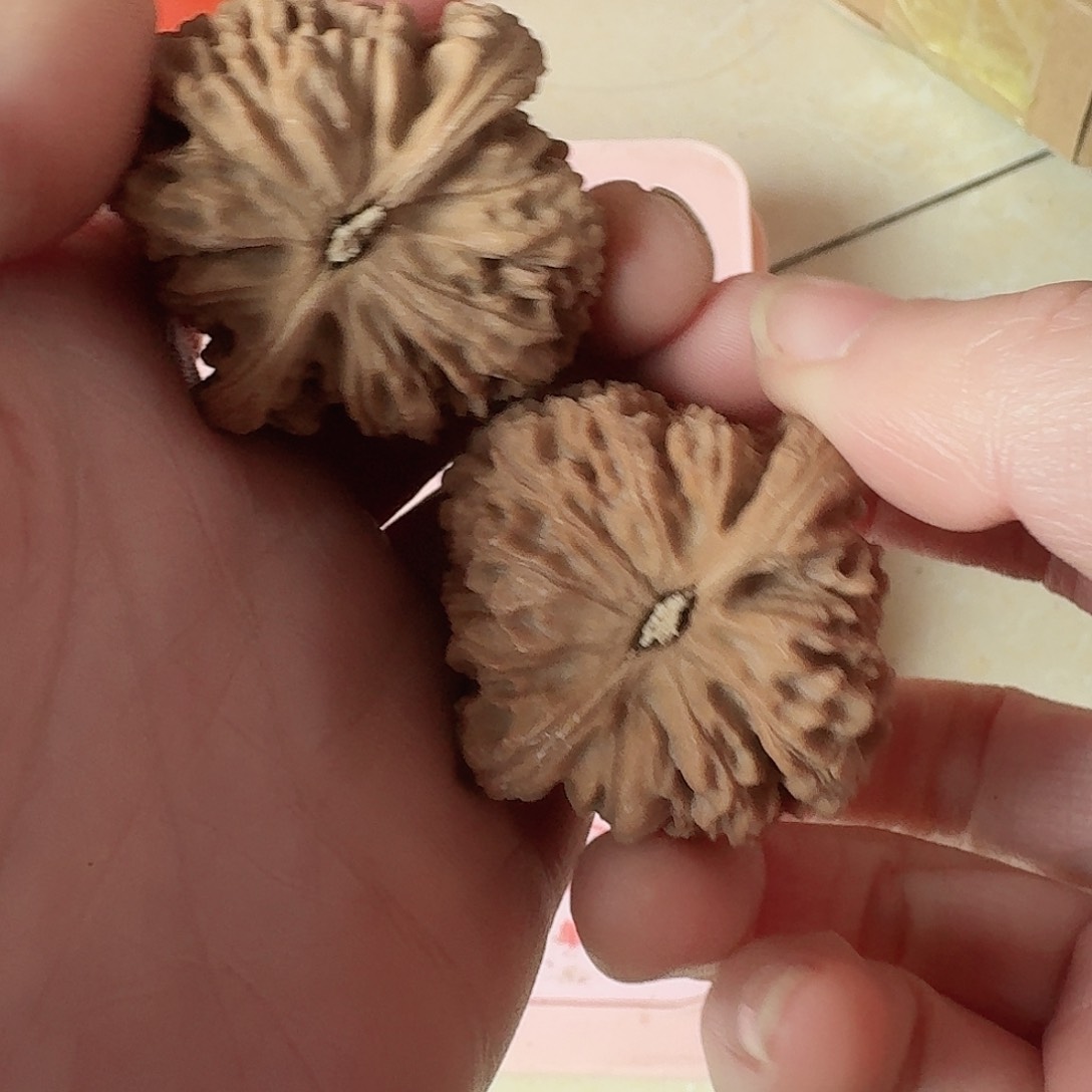 平*全品南疆石狮子头42