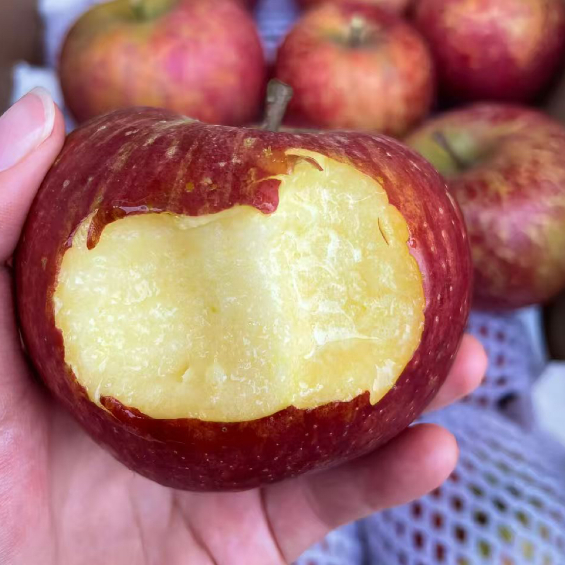 （乡村八妹）正宗高原本地苹果